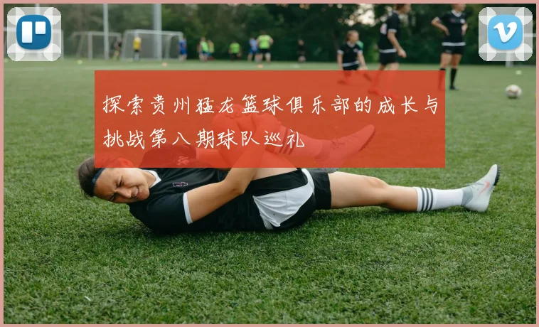 探索贵州猛龙篮球俱乐部的成长与挑战第八期球队巡礼
